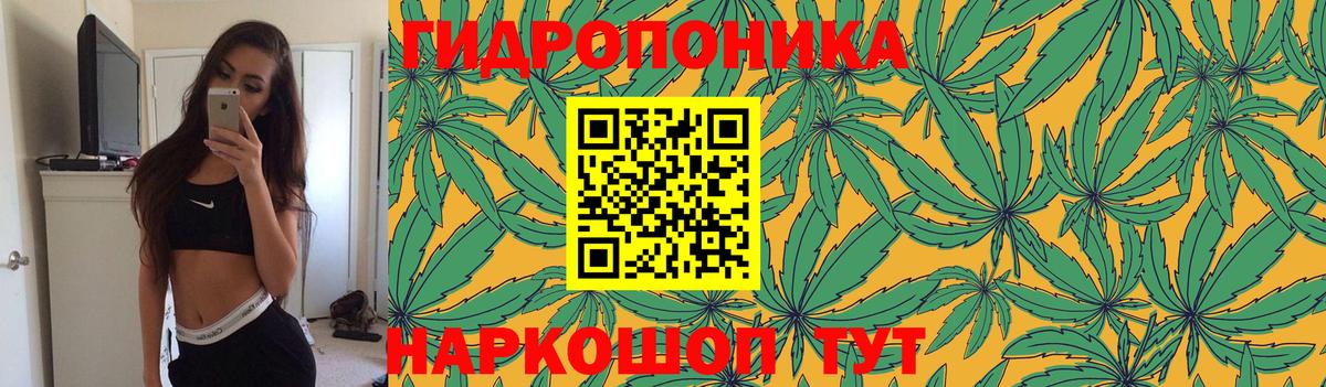 Шишки марихуана конопля Хабаровск